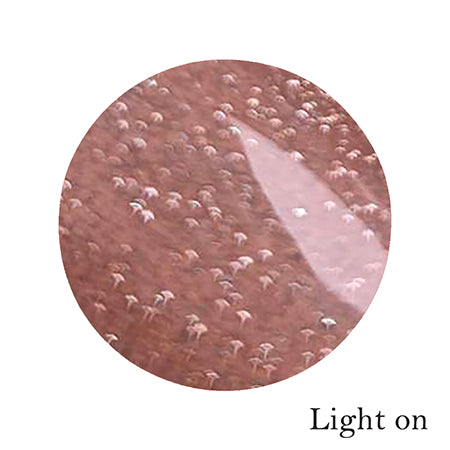 Icegel Flash On/Off Gel Rose Sparkle 1499 [Bottle 9ml]