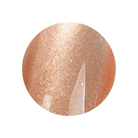 Icegel Stellar Star Galaxy Magnet Gel Set 1617 [Bottle 9ml]